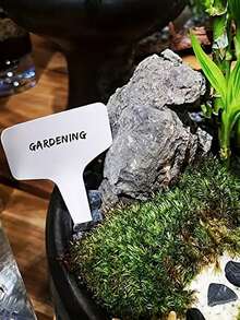 100 个白色 T 形植物标签，户外花园植物防水标签，可重复使用的植物标记，适合园丁和房主，花盆和育苗盘，春季庆典