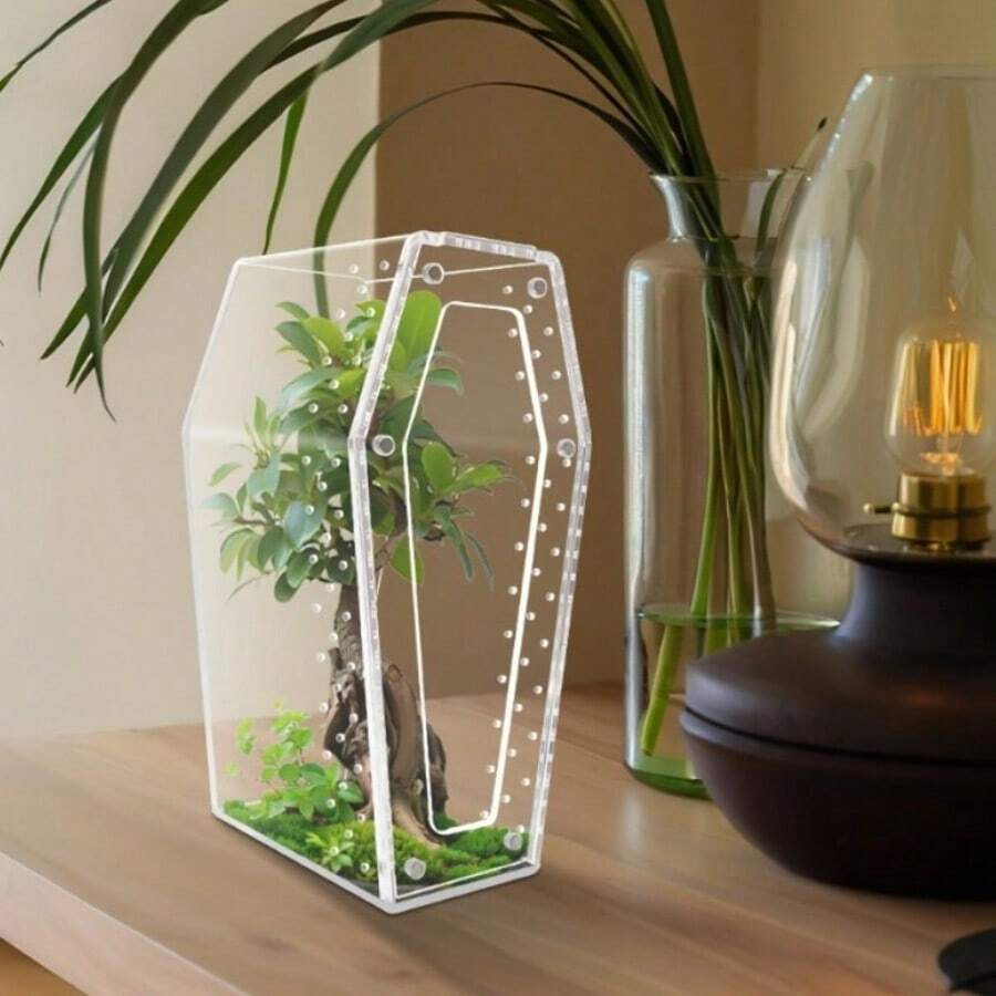 1 Acrilico trasparente da scrivania con coperchio per esposizione e conservazione di collezioni, adatto per terrari alimentari per ragni, lucertole, insetti e altri rettili, che fornisce un habitat confortevole, traspirante e visibile, dotato di un coperchio magnetico per una facile osservazione, il regalo ideale per gli animali da compagnia arrampicatori