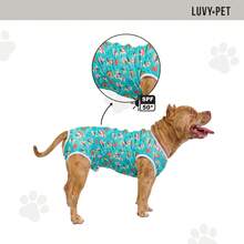 LUVY PET Roupa Cirúrgica Cachorro Macho UV Estampa Azul com Cachorrinhos - Multicolorido - Visão 5