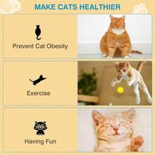 Battery-Free Interactive Cat Launcher Training Set - Indoor Exercise Toy For Cats | Strengthen Owner-Pet Bond | Fun Auto-Launch Design | Ideal For Boredom Relief, Weight Management & Training