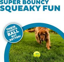 Outward Hound Squeaker Ballz Fetch Dog Toy, Medium - 4 Pack