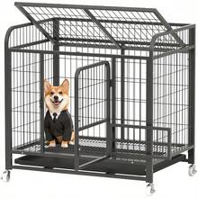 Pet Houses & Cages