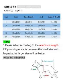 蓝色条纹宠物领结项圈，适合猫狗，四季皆宜