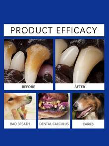 宠物牙膏、宠物日常休闲用品 - 彩色 - 查看 11