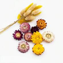 1包（30克）彩色菊花天然干花 - 适用于节日、生日派对、活动装饰、家居卧室装饰、蜡烛制作、插花 - 七彩菊(1件) - 查看 5