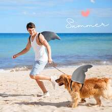 可爱的灰色鲨鱼鳍服装配饰 - 易于佩戴，适合角色扮演、万圣节、情人节和狂欢节服装 - 有趣的设计，万圣节主题派对必备，时尚的款式，耐用的材质，节日派对装饰 - 彩色 - 查看 6