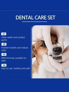 宠物牙膏、宠物日常休闲用品 - 彩色 - 查看 10