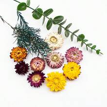 1包（30克）彩色菊花天然干花 - 适用于节日、生日派对、活动装饰、家居卧室装饰、蜡烛制作、插花 - 七彩菊(1件) - 查看 3