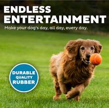 Outward Hound Squeaker Ballz Fetch Dog Toy, Medium - 4 Pack