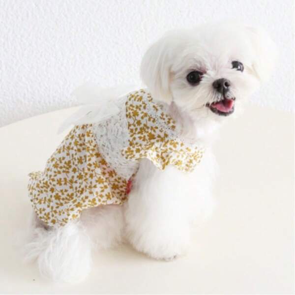 Pet Apparel: Ditsy Floral Lace Dress For Dog & Cat