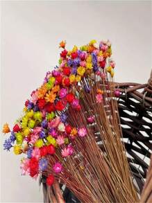100 Stücke kleine getrocknete Sternblumen, Strauß mit unsterblichen Blumen, handgefertigte DIY Blumenarrangements, Vasen-Füllblumen für Thanksgiving, Weihnachten, Hochzeit, Heimdekoration