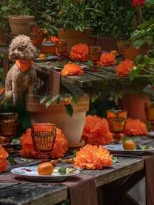 Juego de 10 pompones de papel de seda naranja para decoración de fiestas, bolas de flores de papel para decoración de fiestas de Acción de Gracias otoñales, fondo para fiestas de cumpleaños, ideal para Halloween, temporadas de cosecha, aniversarios, bodas y Navidad. - Multicolor - Ver 7