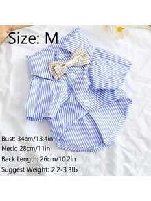 蓝色条纹宠物领结项圈，适合猫狗，四季皆宜