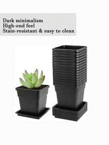 [休闲风格] 方形塑料花盆带托盘方形塑料带排水孔适用于室内和室外休闲风格方形植物育苗盆，多色小型移栽花盆适用于室内室外、多肉植物、办公室家庭花园和阳台装饰