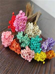 100 Stücke kleine getrocknete Sternblumen, Strauß mit unsterblichen Blumen, handgefertigte DIY Blumenarrangements, Vasen-Füllblumen für Thanksgiving, Weihnachten, Hochzeit, Heimdekoration