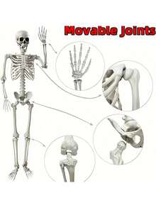 Halloween Skeleton - 40/90cm Halloween Skeletons Decorations, Full Body Posable Joints 15'' Skeletons, Realistic Human Bones With Movable Joints Halloween Party Decoration,Courtyard Deck Lawn Garden Skeleton Props, Creative Small Gift, Holiday Accessory, Birthday Party Supplies, Party Decorations Supplies - Beige - View 5