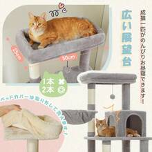 Cat Trees & Condos - Nenhum - Ver 4
