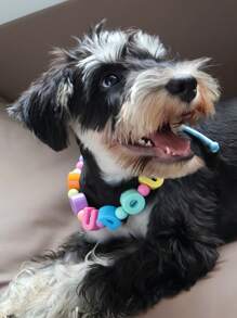 1 PC Customized Colorful Pet Necklace, Custom Pet Dog & Cat Beaded Necklace, Colorful Dog & Cat Jewelry Personalized Pet Collar, Colorful Beads, Pet Jewelry, Pet Gifts, Birthday Gift For Dogs, Birthday Gift For Cat