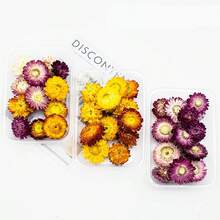 1包（30克）彩色菊花天然干花 - 适用于节日、生日派对、活动装饰、家居卧室装饰、蜡烛制作、插花 - 七彩菊(1件) - 查看 2