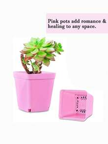 [休闲风格] 方形塑料花盆带托盘方形塑料带排水孔适用于室内和室外休闲风格方形植物育苗盆，多色小型移栽花盆适用于室内室外、多肉植物、办公室家庭花园和阳台装饰