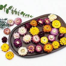 1包（30克）彩色菊花天然干花 - 适用于节日、生日派对、活动装饰、家居卧室装饰、蜡烛制作、插花 - 七彩菊(1件) - 查看 1