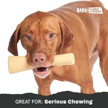 Barkbox Dogness Monster Super Chewer Dog Chew Toy - Tough Dental Stimulating Toy For Aggressive Chewers | Large - Mighty Bone Bacon - Small - View 5