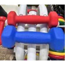 Endless Neoprene Coated Fixed Dumbbell for Gym Exercises | Material : Iron with Vinyl Coat | Weights for Women and Men