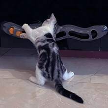1pc Window-Mounted Roller Ball Cat Toy - Suction Cup Stability For Interactive Indoor Play, Encourages Exercise & Entertainment - Multicolor - View 6