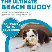 Outward Hound By Charming Pet Squawkers Earl Latex Squeaky Rubber Chicken Dog Toy, Funny Interactive Holiday Toy For Dogs, Large Size - Henrietta, Small - 查看 2