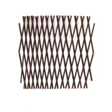 Garden Expanding Wooden Trellis Expandable Trellises Aluminum Riveted Each Piece Expands To 200cm X 30cm Climbing Plants Support