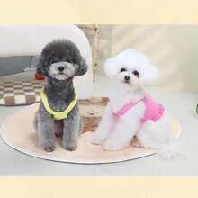 Source Factory Pet Dog Chest And Back, Spring And Summer Candy Color, Can Be Pulled, Pet Vest, Teddy Bear, Pet Supplies