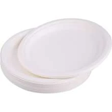 80/50/30/20/10/5pcs 9-Inch Large Capacity White Disposable Plates, Suitable For Outdoor Picnics, School Events, Family Gatherings, Camping, And Holiday Celebrations - Multipurpose Paper Plates