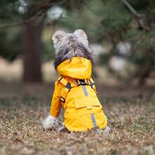Manteau de pluie pour chien pour toutes les saisons, harnais de poitrine pour animal de compagnie, poncho de pluie, veste imperméable et réfléchissante pour petits et moyens chiens