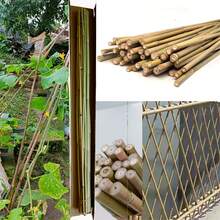 20PCS Vine Plant Support Stake, Garden Climbing Trellis Stakes,Coutyard Fence DIY Ground Insertion Fence For Lawn, Vegetable Plot & Landscape Partition, Easy Install With Aesthetic Design, Outdoor Decoration & Gardening Essentials, Lawn Divider, Rustic Decorative Fencing,Home Gardeners Pole Suitable For Garden Vegetables, Fruits, Flowers Growth Climbing(Root Diamter 6-12mm)