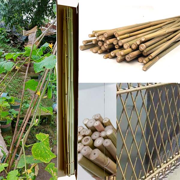 20PCS Vine Plant Support Stake, Garden Climbing Trellis Stakes,Coutyard Fence DIY Ground Insertion Fence For Lawn, Vegetable Plot & Landscape Partition, Easy Install With Aesthetic Design, Outdoor Decoration & Gardening Essentials, Lawn Divider, Rustic Decorative Fencing,Home Gardeners Pole Suitable For Garden Vegetables, Fruits, Flowers Growth Climbing(Root Diamter 6-12mm)