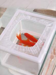 1pc Aquarium Fish Tank Isolation Box/Breeding Box/Tropical Fish Separation Mesh/Floating Injured Fish Protection Net - White - View 3