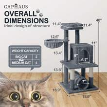 Local Delivery-CAPHAUS Tall Climbing Modern Indoor Play Tower For Large Cats Kittens, 70-Inch With Top Perch, Cat Cave Condo, Cat Tree W Hammock, Multi-Level Cat Activity Tree W Cute Scratching Posts - 煙灰色 - 查看 10
