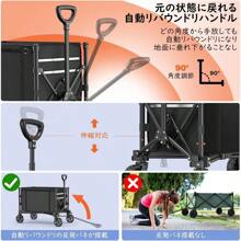 Garden Carts