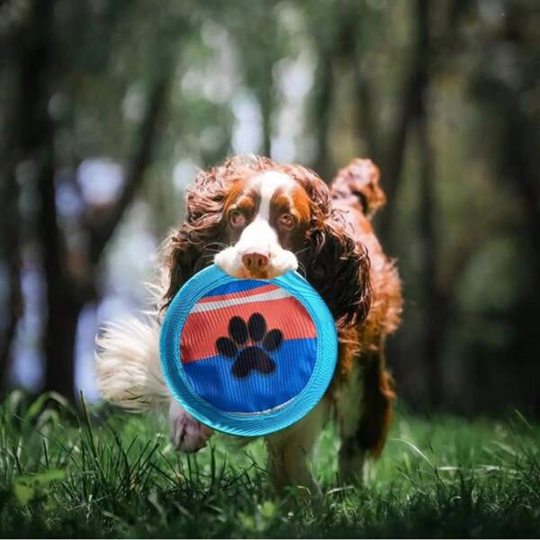 Soft Dog Toy For Outdoor Training And Interaction, Durable Floating Fetch Disc Toy, Bite-Resistant, Safe For Teeth And Gums