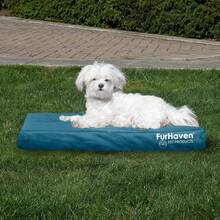 Local Delivery-Furhaven Water-Resistant Orthopedic Dog Bed For Large/Medium Dogs W/ Removable Washable Cover, For Dogs Up To 55 Lbs - Indoor/Outdoor Logo Print Oxford Polycanvas Mattress - Forest, Large - Water-Resistant Logo Print (Deep Lagoon) - View 3