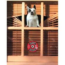 Emergency Pet Alert Stickers, UV & Waterproof, Dogs Rescue Signs For Fire & Emergencies - High Visibility, Easy-To-Apply; Pet Supplies, Must-Have For Pet Owners