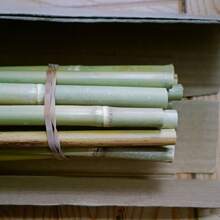 20PCS Vine Plant Support Stake, Garden Climbing Trellis Stakes,Coutyard Fence DIY Ground Insertion Fence For Lawn, Vegetable Plot & Landscape Partition, Easy Install With Aesthetic Design, Outdoor Decoration & Gardening Essentials, Lawn Divider, Rustic Decorative Fencing,Home Gardeners Pole Suitable For Garden Vegetables, Fruits, Flowers Growth Climbing(Root Diamter 6-12mm)