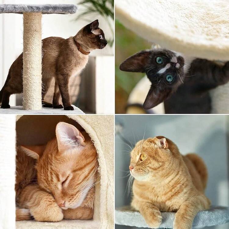 Sofa Bed Mattress - 深灰色 - 查看 3