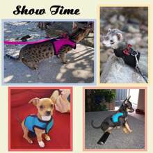 Rypet Animal Harness And Leash - Soft Mesh Pet Harness With Safe Bell, No Pull Comfort Padded Vest For Small Pet Black S