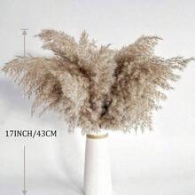 蒲苇装饰组合套装、干兔尾草花束、蒲苇和桉树、波西米亚风格桌面和地板中心装饰 - 干花插花、秋草和橄榄绿墙壁装饰（多种款式）、秋季装饰、秋季 - 棕色 - 查看 3