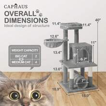 Local Delivery-CAPHAUS Tall Climbing Modern Indoor Play Tower For Large Cats Kittens, 70-Inch With Top Perch, Cat Cave Condo, Cat Tree W Hammock, Multi-Level Cat Activity Tree W Cute Scratching Posts - 淺灰色 - 查看 10