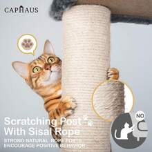 Local Delivery-CAPHAUS Tall Climbing Modern Indoor Play Tower For Large Cats Kittens, 70-Inch With Top Perch, Cat Cave Condo, Cat Tree W Hammock, Multi-Level Cat Activity Tree W Cute Scratching Posts - 煙灰色 - 查看 5
