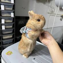 Adjustable Small Pet Chest Harness, Soft Design With Safety Touch Buckle, Suitable For Rabbits, Guinea Pigs And Other Small Animals, Escape-Proof And Secure Fit, Rabbit Leash, Adjustable Leash Suitable For All Seasons