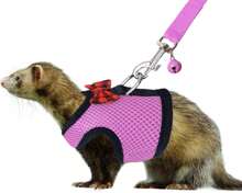 Rypet Animal Harness And Leash - Soft Mesh Pet Harness With Safe Bell, No Pull Comfort Padded Vest For Small Pet Black S