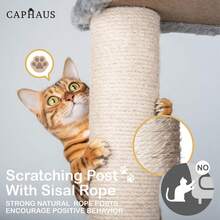 Local Delivery-CAPHAUS Tall Climbing Modern Indoor Play Tower For Large Cats Kittens, 70-Inch With Top Perch, Cat Cave Condo, Cat Tree W Hammock, Multi-Level Cat Activity Tree W Cute Scratching Posts - 淺灰色 - 查看 5